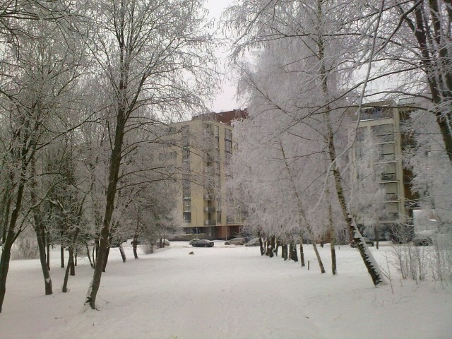 20100114018.jpg