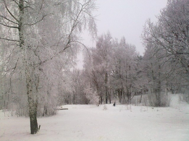 20100114017.jpg