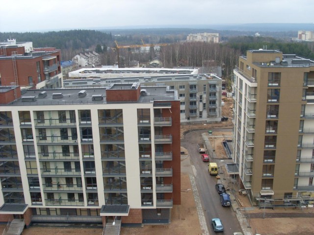 SL380731.JPG
