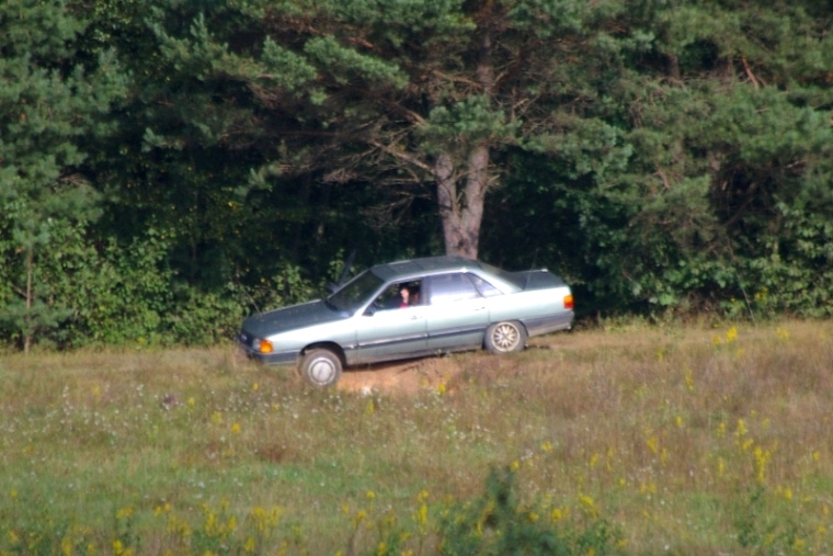 IMGP2041-.JPG