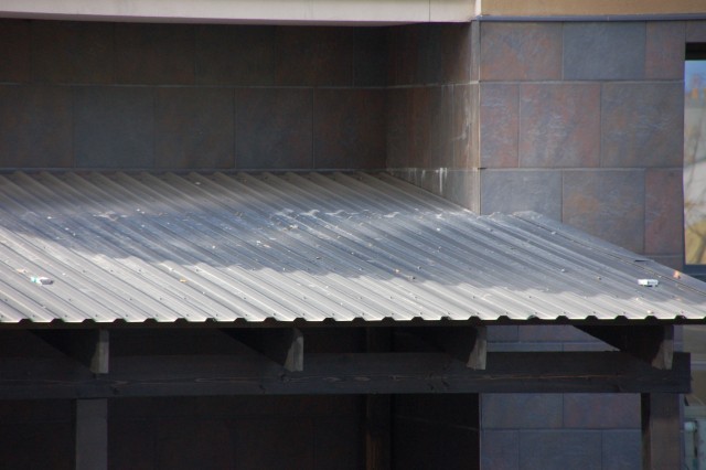 DSC_7406.JPG