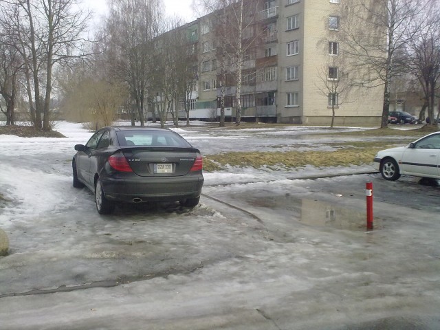 20100320064.jpg
