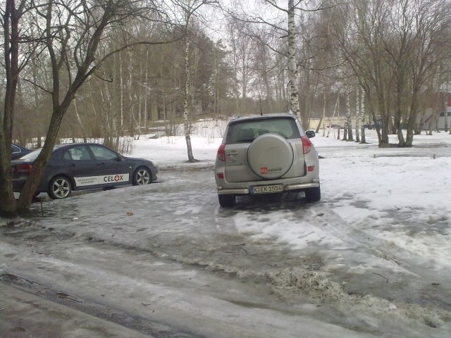 20100320063.jpg