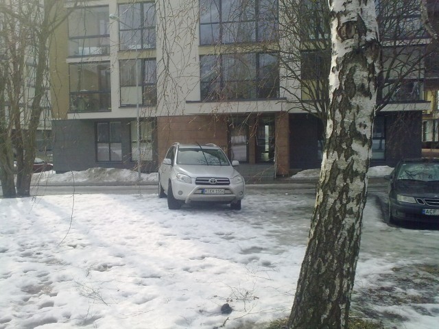 20100320062.jpg