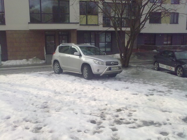 20100320061.jpg