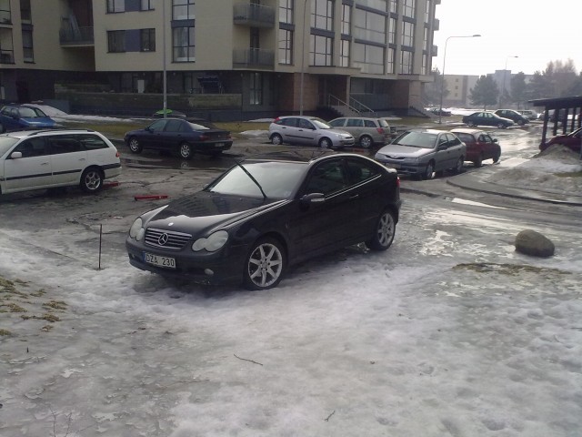 20100320060.jpg