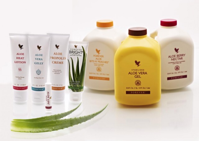 aloe-top.jpg