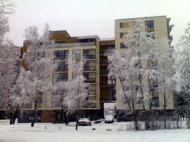 20090319(001).jpg